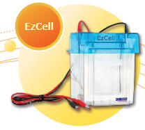 ezcell
